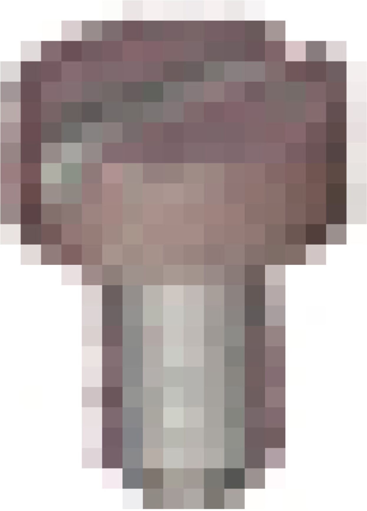 schweisskraft Schraube Anschlussmutter Schweisskraft (1091589)