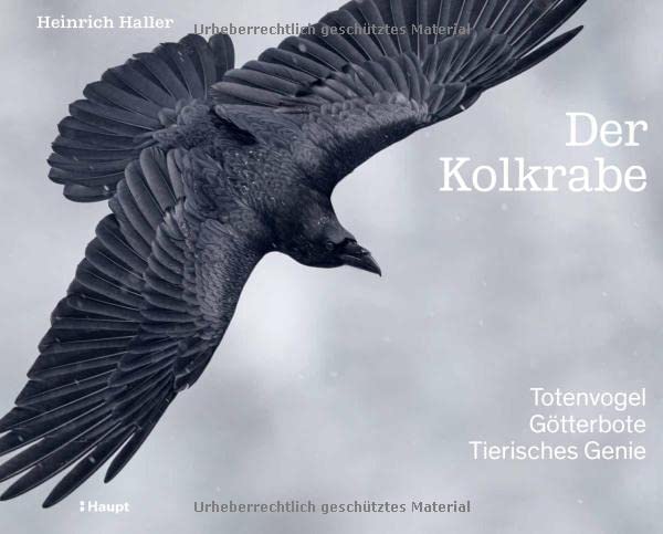 Heinrich Haller - Der Kolkrabe – Totenvogel, Götterbote, tierisches Genie - Preis vom 09.10.2026 07:28:09 h