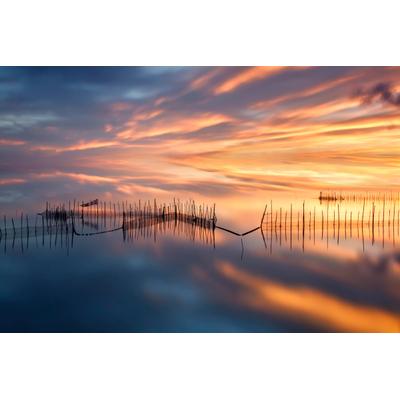 Fototapete PAPERMOON "Photo-Art JOSE BEUT, FISHNETTEN", bunt, B:3,5m L:2,6m, Vlies, Tapeten