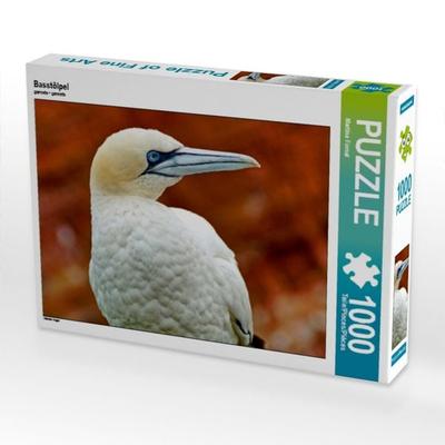 CALVENDO Puzzle Basstölpel | 1000 Teile Lege-Größe 64x48cm Foto-Puzzle für glückliche Stunden
