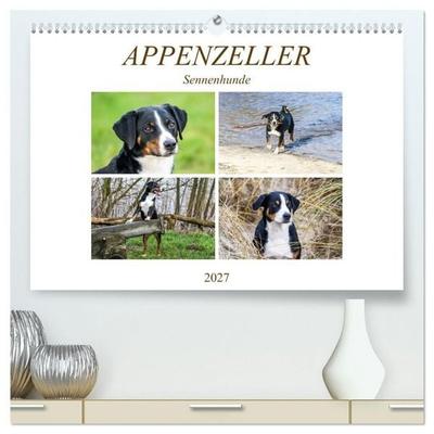 Appenzeller Sennenhunde (hochwertiger Premium Wandkalender 2027 DIN A2 quer), Kunstdruck in Hochglanz