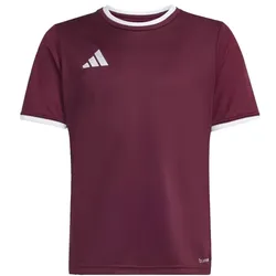 adidas Entrada 26 Trikot Kinder - team maroon 2/white - 104