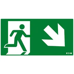 Ceag Notlichtsysteme Piktogramm FT3EWEC-PICTO-DR
