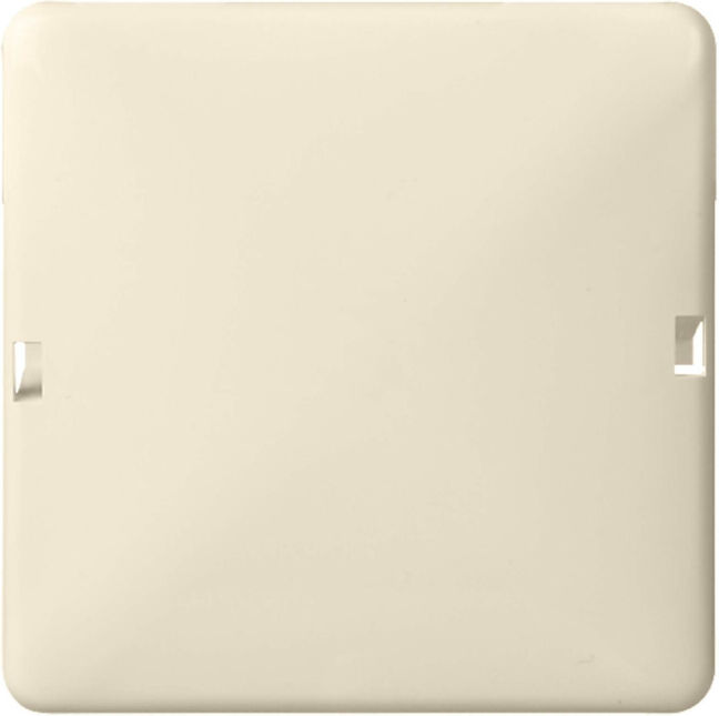 Elso Cache aveugle pw 1 poste verrouillable 503010 (503010)