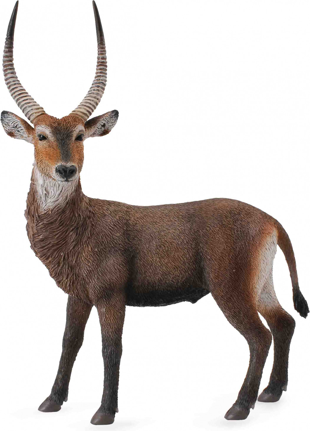 Collecta Afrikaanse antilope