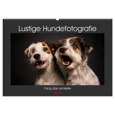 Fang das Leckerlie (Wandkalender 2026 DIN A2 quer), CALVENDO Monatskalender