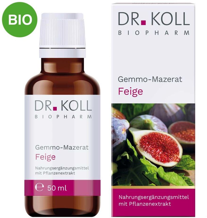 Gemmo Mazerat Feige Doktor koll Ficus Carica Tropfen