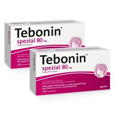 Tebonin spezial 80 mg Doppelpack 2x120 St Filmtabletten