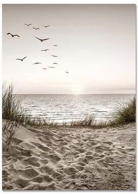 Inspired Finds Nordic White Shell Beach Dandelion Canvas Wall Art Minimalist Living Room Decor quiet Shore 15.75x19.69in