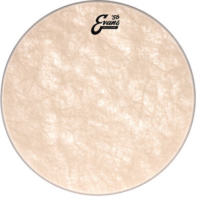 "Evans 18"" Calftone Tom "