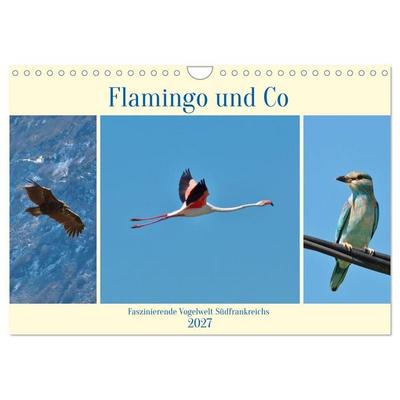Flamingo und Co - Faszinierende Vogelwelt Südfrankreichs (Wandkalender 2027 DIN A4 quer), CALVENDO Monatskalender