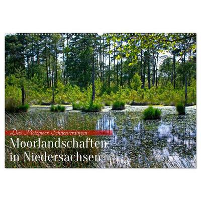 Niedersachsens Moorlandschaften - Das Pietzmoor, Schneverdingen (Wandkalender 2026 DIN A2 quer), CALVENDO Monatskalender