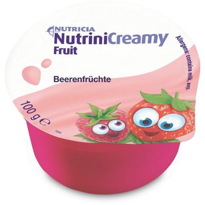 Nutrini Creamy Fruit Beerenfrüchte 4x100 g Sonstige