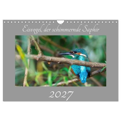 Eisvogel, der schimmernde Saphir (Wandkalender 2027 DIN A4 quer), CALVENDO Monatskalender