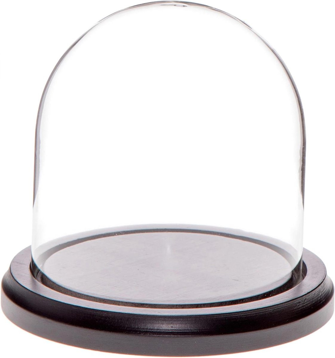Glazen Display Dome met Zwarte Houten Basis voor Decoratieve Objecten