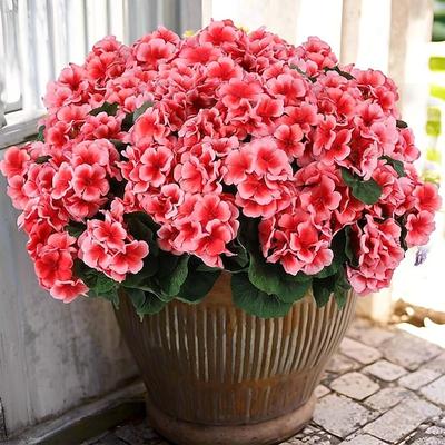 6 Bündel künstliche Geranien für die Außendekoration, UV-beständige Seidengeranien, die wie echte Pflanzen aussehen, für Haustür, Garten, Veranda, Pflanzkübel, Terrasse, Balkon, Hof und Innenbereich.