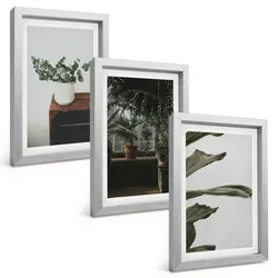 BILDER SET 3er Set - 20x30 cm Silberner Rahmen - Rustikale Topfpflanzen
