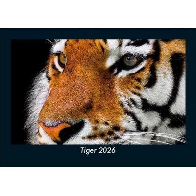 Tiger 2026 Fotokalender DIN A5