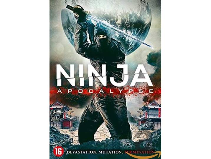 Ninja apocalypse