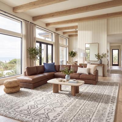 SAFAVIEH Hudson Shag Friedy 2-inch Thick Rug