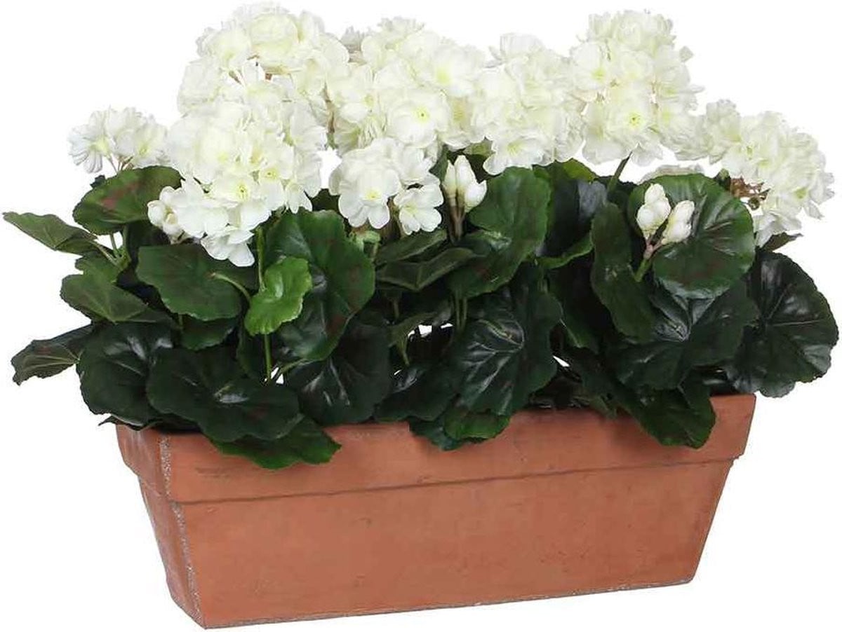 Mica Decorations Kunstplant Geranium Wit in Zandcement sierpot, Hoogte: 40 cm
