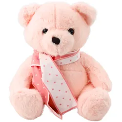 Plüsch Maskottchen Kuscheltier Teddybär mit Schal Rosa 35cm