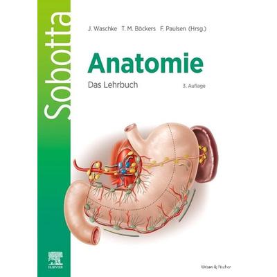 Sobotta Anatomie - Das Lehrbuch, Gebundene Ausgabe von , Urban & Fischer in Elsevier, 978-3-437-41187-8
