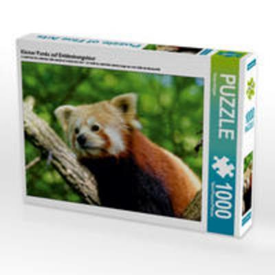 CALVENDO Puzzle Kleiner Panda auf Entdeckungstour 1000 Teile Lege-Größe 64 x 48 cm Foto-Puzzle Bild von Peter Hebgen