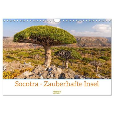 Socotra - Zauberhafte Insel (Wandkalender 2027 DIN A4 quer), CALVENDO Monatskalender