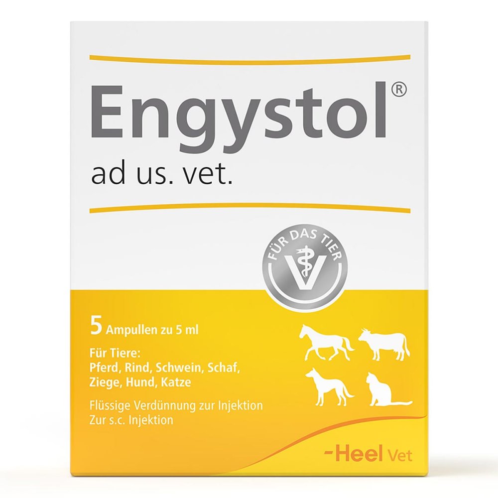 Biologische Heilmittel Heel GmbH Engystol ad usus vet.Ampullen 02585051