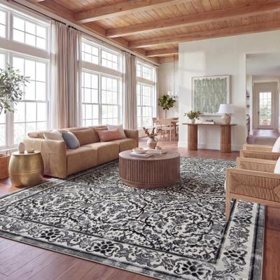 SAFAVIEH Evoke Celeste Vintage Boho Rug