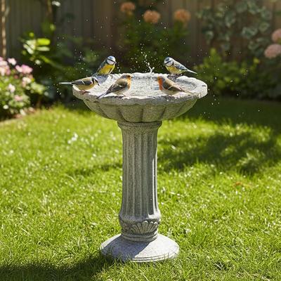 Meedzom Roman Fluted Pedestal Bird Bath with Scalloped Basin and Shell Relief for Outdoor Garden