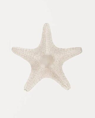 Inspired Living Ocean Breeze Coastal Wall Art Set Watercolor Seashell & Starfish Prints 20x30cm No Frame 5