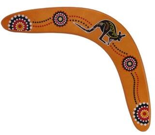 DynamicDeals Kangaroo Return Boomerang Outdoor Catch Game For Kids & Families b