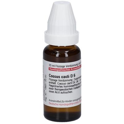 Coccus cacti D 6 Dilution 20 ml