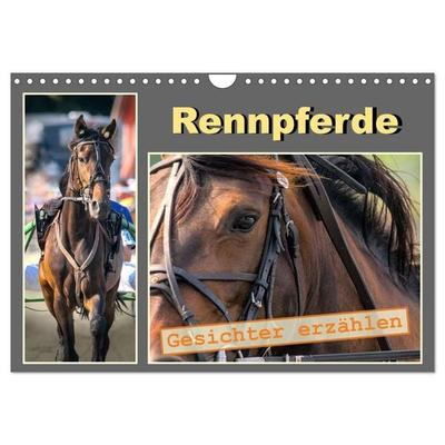 Rennpferde - Gesichter erzählen (Wandkalender 2027 DIN A4 quer), CALVENDO Monatskalender