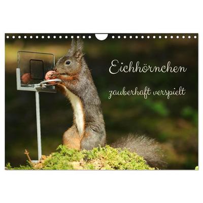 Eichhörnchen - zauberhaft verspielt (Wandkalender 2026 DIN A4 quer), CALVENDO Monatskalender