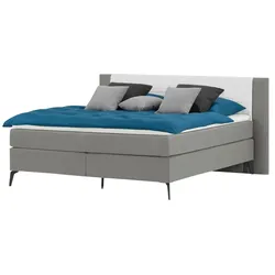 Boxspringbett  Synda ¦ grau ¦ Maße (cm): B: 160 H: 107