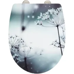 WC-Sitz POLAR (BT 36,50x45 cm) - bunt - BT 36,50x45 cm