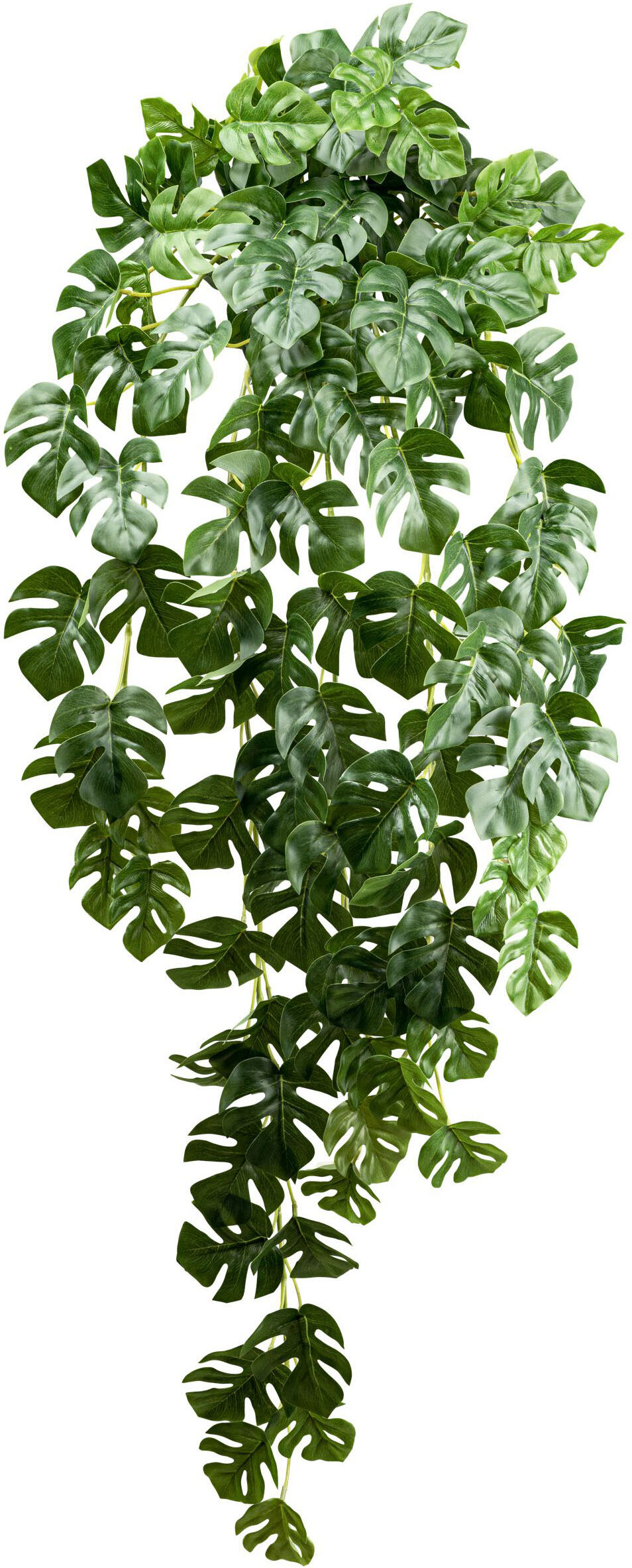 Künstliche Zimmerpflanze CREATIV GREEN "Splitphilodendron-Hängepflanze", weiß, H:95cm, Kunstpflanzen, Künstliche Zimmerpflanze, mit zahlreichen Blättern