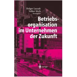 Betriebsorganisation im Unternehmen der Zukunft, Fachbücher von Volker Stich, Holger Luczak