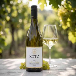 Weingut Julius Zotz 2025 Julius Zotz Grauburgunder Alte Reben 2025 Grauburgunder Deutschland