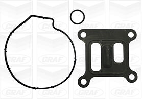 Graf Wasserpumpe Pa839 Für Ford Jaguar