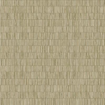 Galerie Wallcoverings Zen Collection Bamboo Screen Stripe Sheen Finish Non-woven Wallpaper Roll