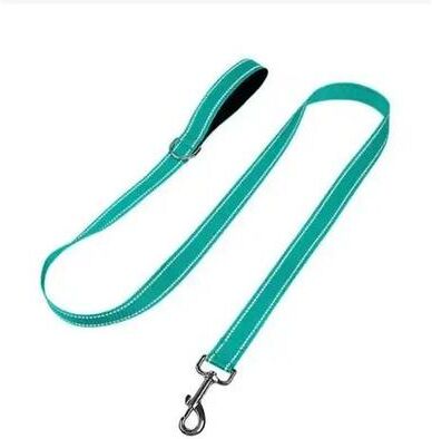 Uplifted Finds High Visibility Reflective Training & Walking Leash cyan 2.5 Cm X 180 Cm