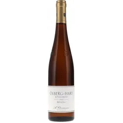 Ölberg-Hart Königsbach Riesling Grosses Gewächs Christmann 2021 BIO