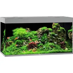 JUWEL Rio 350 LED Aquarium Set grau