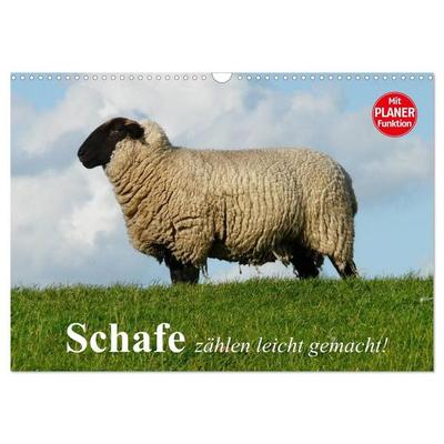 Schafe zählen leicht gemacht! (Wandkalender 2027 DIN A3 quer), CALVENDO Monatskalender