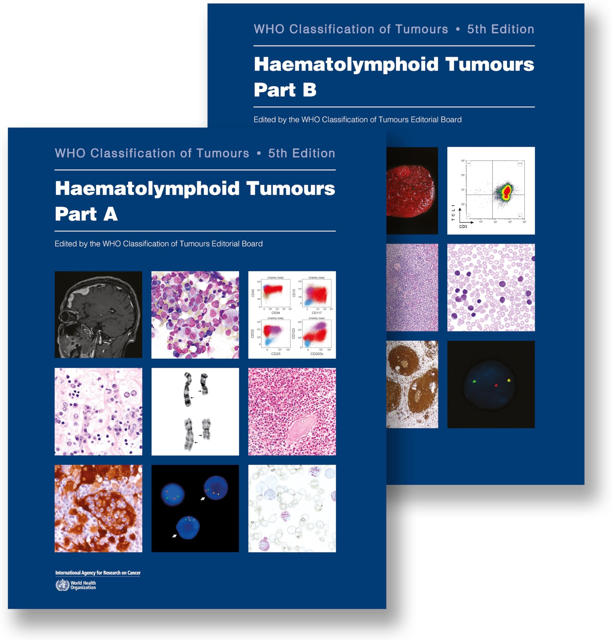 Haematolymphoid Tumours: Who Classification of Tumours - Preis vom 19.10.2026 19:33:35 h