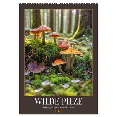 WILDE PILZE - Essbare, giftige und seltene Pilzarten (Wandkalender 2027 DIN A2 hoch), CALVENDO Monatskalender